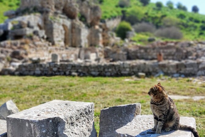 All Inclusive Private Half-Day Ephesus and Sirince Village Tour with Lunch - Private guide energy: why names like Sinem and Cem keep showing up
