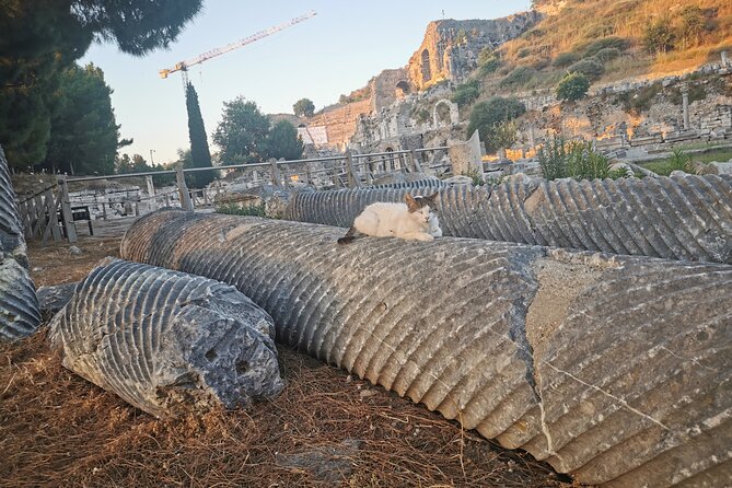 Best of Ephesus Tour from Kusadasi Port - Price check: is $209.71 per person good value?