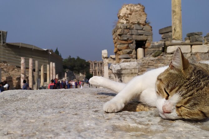 Best of Ephesus Tour From Kusadasi: Temple of Artemis, St John Basilica, Isa Bey Mosque - Stop 4: Temple of Artemis, the Fast Hit With Big Name Power
