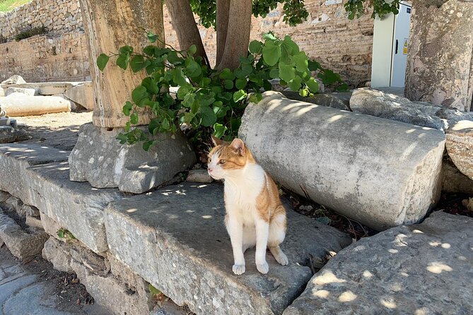 Customize Your Ephesus Trip With Your Guide & Vehicle - Virgin Mary House: a meaningful stop that fits your pace