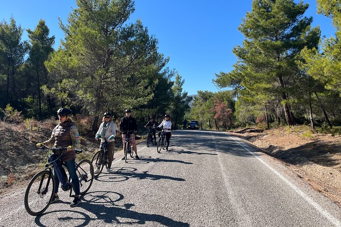 Cycling Through Vineyards & Farm Lunch & Ephesus visit - Çamlık Village to Gökçealan: The E-Bike Part That Feels Like Real Turkey