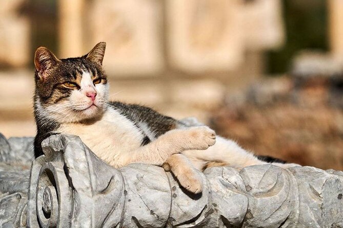 Daily Ephesus and Virgin Mary House Tour with Lunch Included - Meryemana (Virgin Mary’s House): A Quiet Pilgrimage Stop