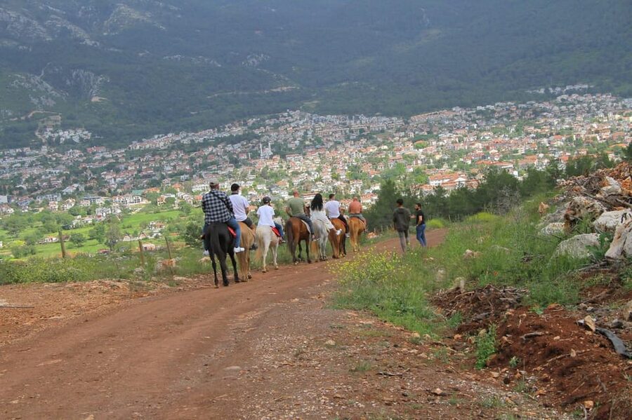 Didim Horse Safari - Should you book the Didim Horse Safari near Didim?
