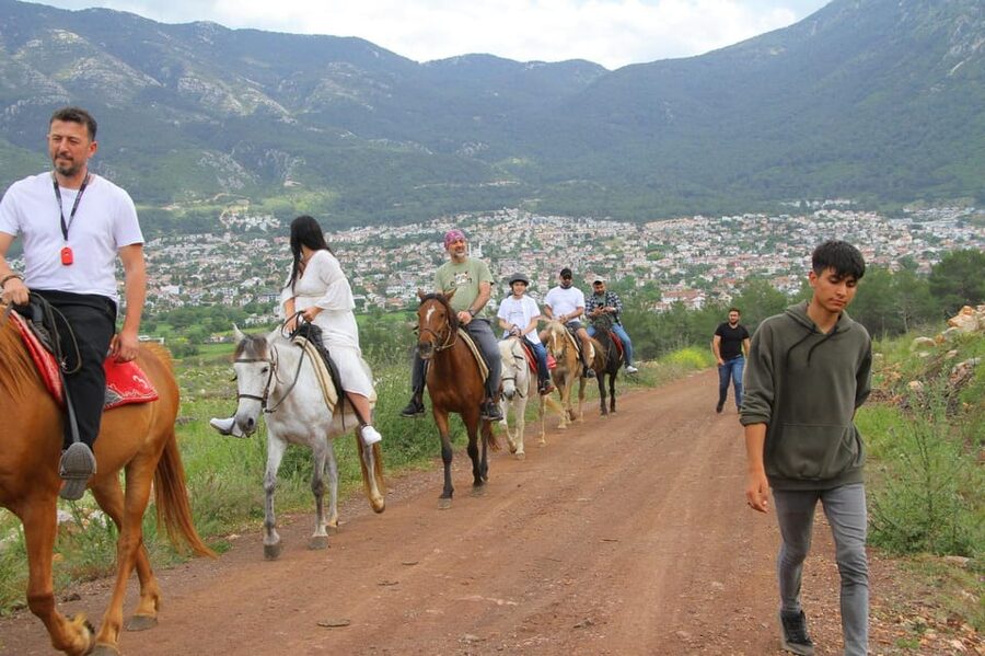 Didim Horse Safari - Gentle horses and safety: what’s covered, what isn’t