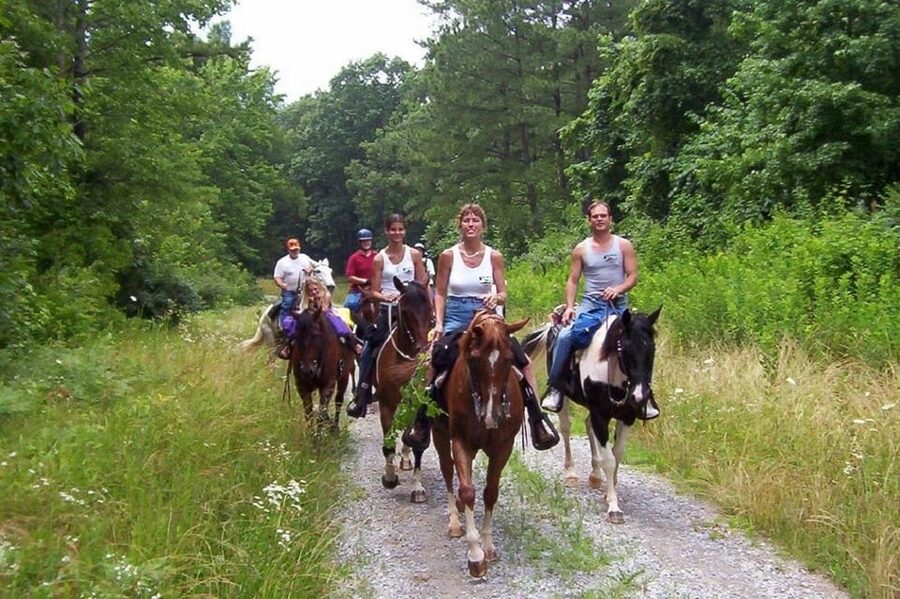 Didim Horse Safari - Family fit and beginner comfort: who will love it most