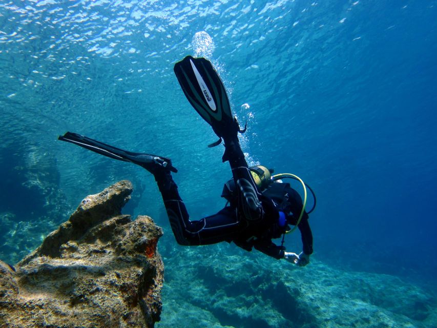 Didim: Scuba Diving Experience w/Hotel Pickup & Lunch - Hotel Pickup in Didim: Fewer Headaches Than DIY Plans