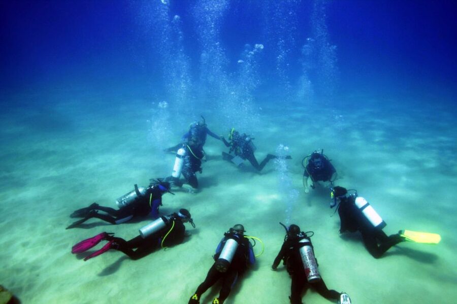 Didim: Scuba Diving Experience w/Hotel Pickup & Lunch - Duration and Logistics: The Real Timing vs the Promise