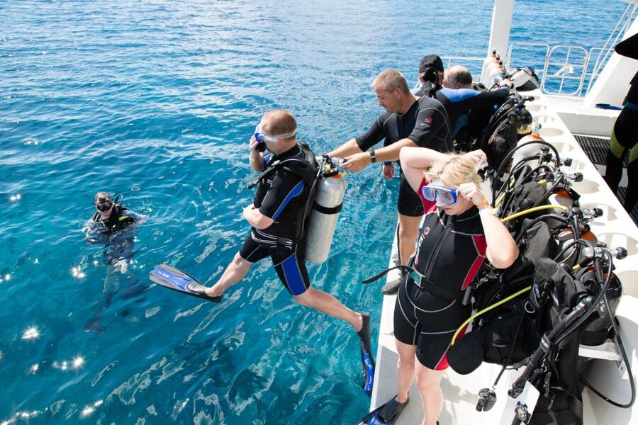 Didim: Scuba Diving Experience w/Hotel Pickup & Lunch - Price: Is $83 Good Value?