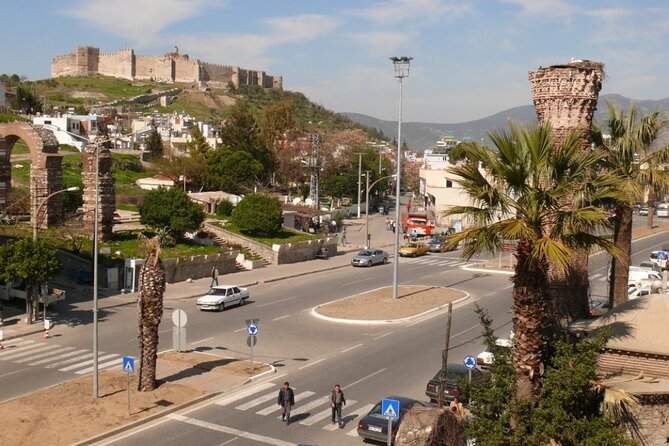 Ephesus and House of Mary from Kusadasi Cruise Port - Kuşadası Port Pickup: How the Morning Gets Managed