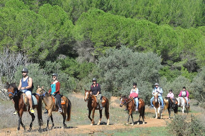 Ephesus Full Day Tour & Horse Safari + Lunch - Opt Turkish Bath - Can Carpet stop, Turkish lunch, and the art-and-outlet side of the day