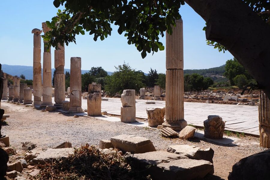 Ephesus: Half-Day Tour from Kusadasi - Transport, Group Size, and the Real Meaning of a Licensed Guide