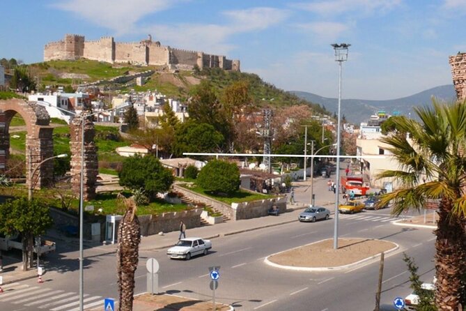 Ephesus Private Tour Guide - Stop 4: Selçuk Town Break That’s Short but Useful