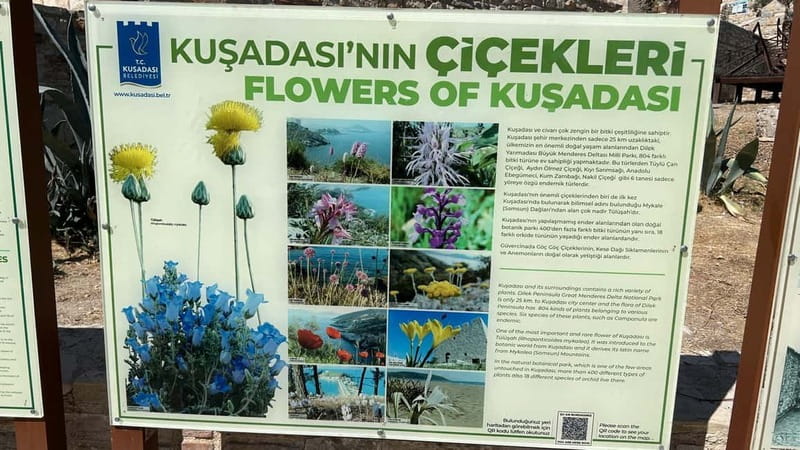 Ephesus tours wholesalerShopTours from cruise port Kusadasi - Temple of Artemis: what you’ll see, and why it can still be worth it