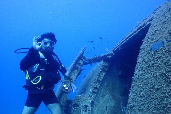 Explore World's Largest Plane Wreck by Scuba Diving in Kusadasi - Why Kusadasi’s Airbus wreck is so special at 20 meters