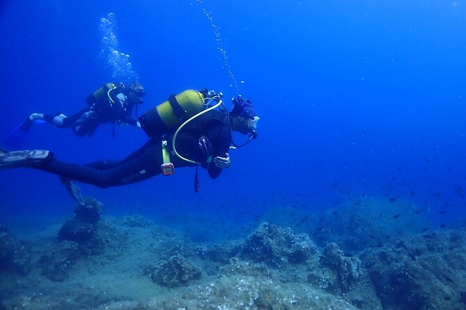 Explore World's Largest Plane Wreck by Scuba Diving in Kusadasi - Safety and skill level: who this suits (and who should think twice)