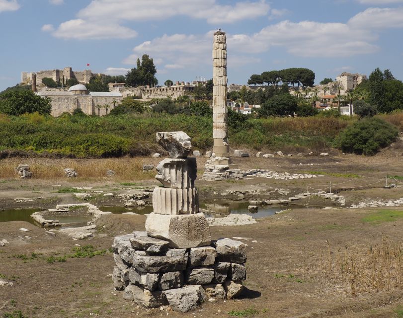 From Kusadasi or Selcuk: Full-Day Ephesus Tour with Lunch - Celsus Library and Marble Road: the “okay, wow” part of the day
