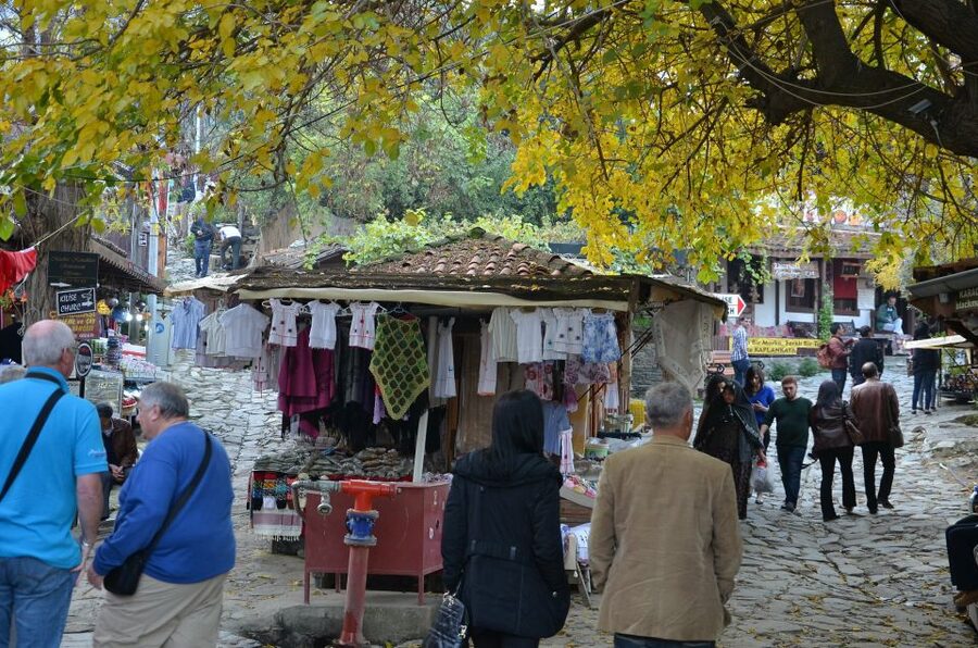 From Kusadasi: Sirince Village and Ephesus Tour - Key highlights you’ll actually feel