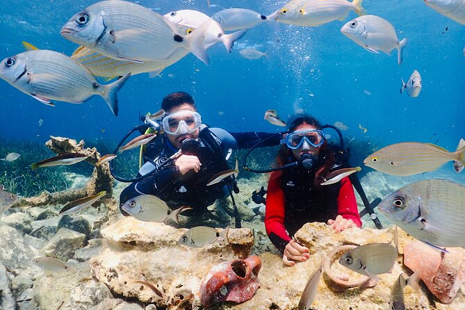 Guided Scuba Diving Experience in Kusadasi - Key highlights that matter before you go