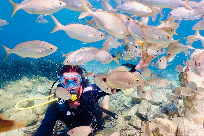 Guided Scuba Diving Experience in Kusadasi - Lunch and included value: what the $79 actually covers