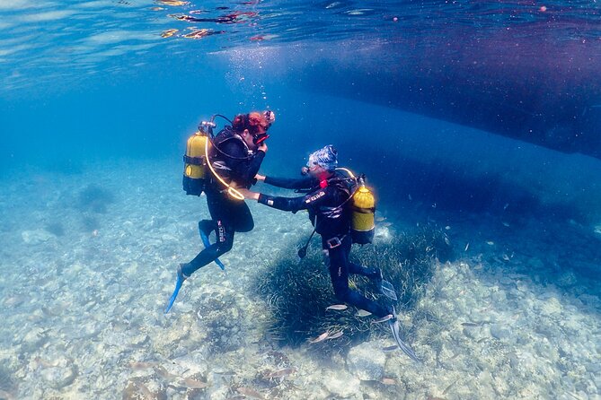 Guided Scuba Diving Experience in Kusadasi - The one-on-one coaching that makes the first breaths feel doable