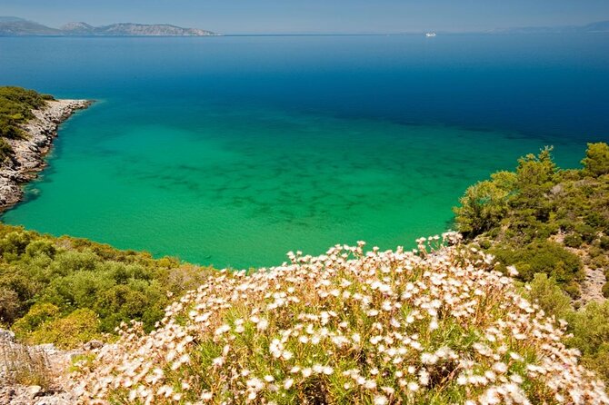 Half-Day Guided Bike Tour in Kusadasi. - Key things you’ll notice on this Kusadasi bike tour