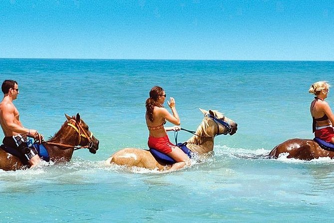 Horse Riding From Kusadasi Port / Hotels - Key Highlights You’ll Care About