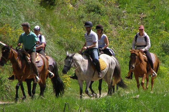 Horse Riding From Kusadasi Port / Hotels - The Pace: What a 3-Hour Ride Really Means
