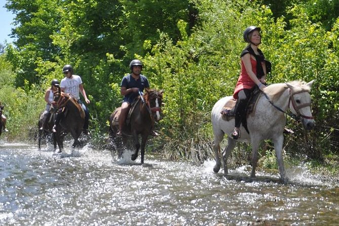 Horse Riding From Kusadasi Port / Hotels - Pickup, Timing, and Cruise-Ship Peace of Mind