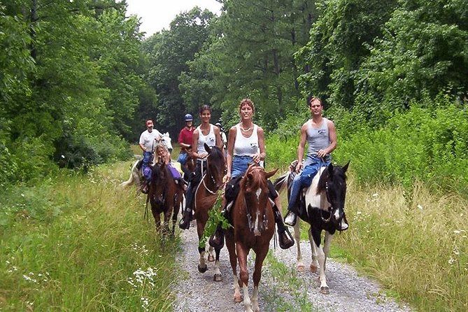 Horse Riding From Kusadasi Port / Hotels - Price and What You’re Really Paying For