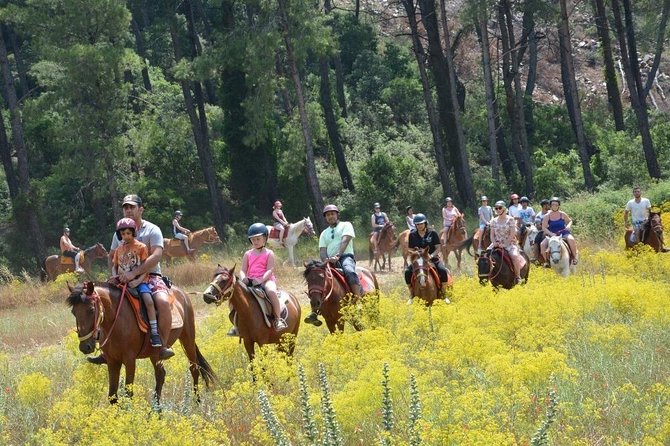 Horse Riding From Kusadasi Port / Hotels - Horses, Handlers, and How the Ride Feels Up Close