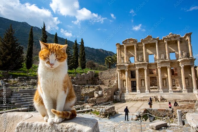 Journey to Ancient Wonders: Explore Ephesus with a Private Tour - Meryemana (Virgin Mary’s House): an optional spiritual side trip