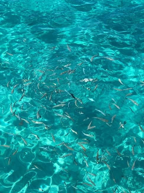 Kusadasi: Aegean Sea Boat Tour with Lunch - Key Things You’ll Remember From This Kusadasi Boat Tour