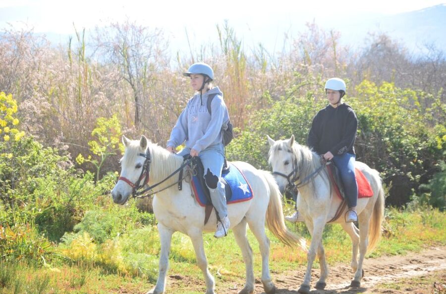 Kusadasi: Beach and Forest Horse Riding Tour - Forest-to-Beach Ride: What the 3 Hours Feels Like