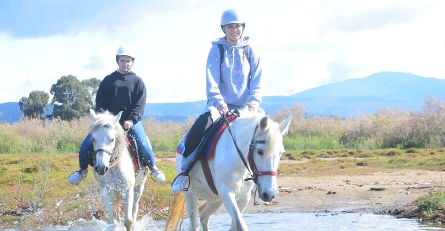 Kusadasi: Beach and Forest Horse Riding Tour - Getting Matched With a Horse and Learning the Basics