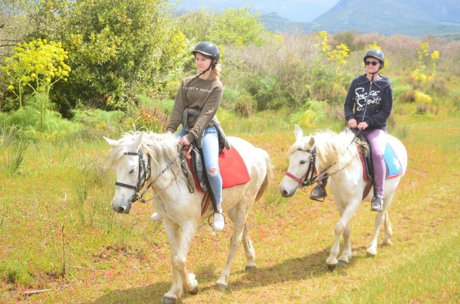 Kusadasi: Beach and Forest Horse Riding Tour - Pamucak Beach on Horseback: The Part You’ll Remember