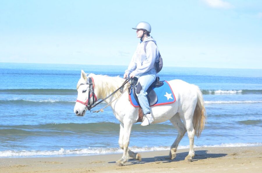 Kusadasi: Beach and Forest Horse Riding Tour - Timing, Pickup, and How to Avoid Being Late