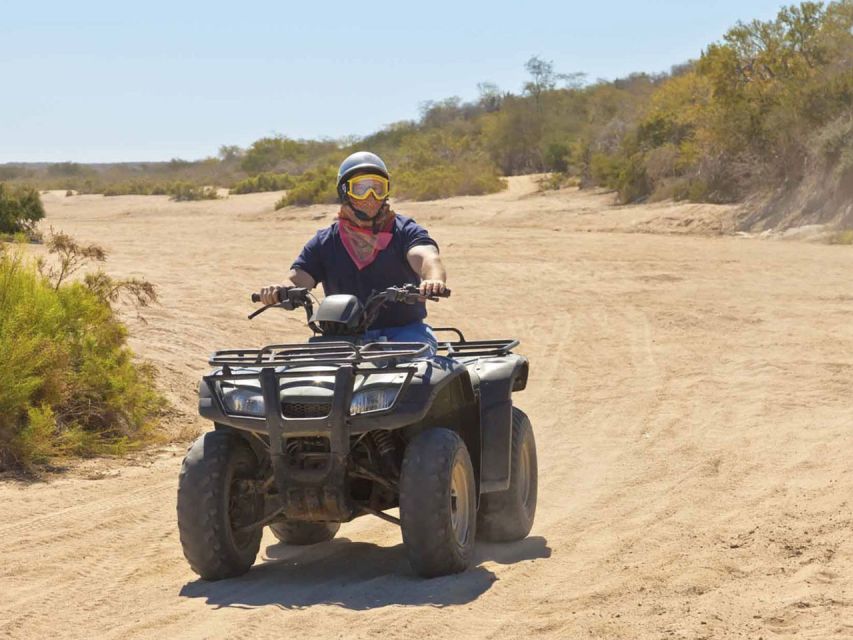 Kusadasi: Guided Quad Biking Tour - The 3-Hour Flow: Pickup, Forest Start, and Your First Minutes on the Quad