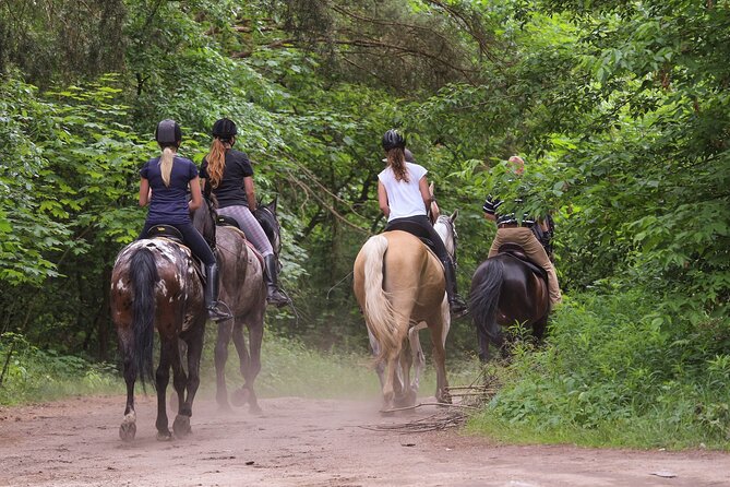 Kusadasi Horse Riding Beach and Forest options with Transfer - Key things I’d focus on