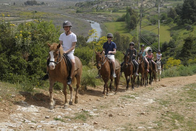 Kusadasi Horse Riding Beach and Forest options with Transfer - The Forest Trails: A Calm Start, Then More Fun If You’re Ready