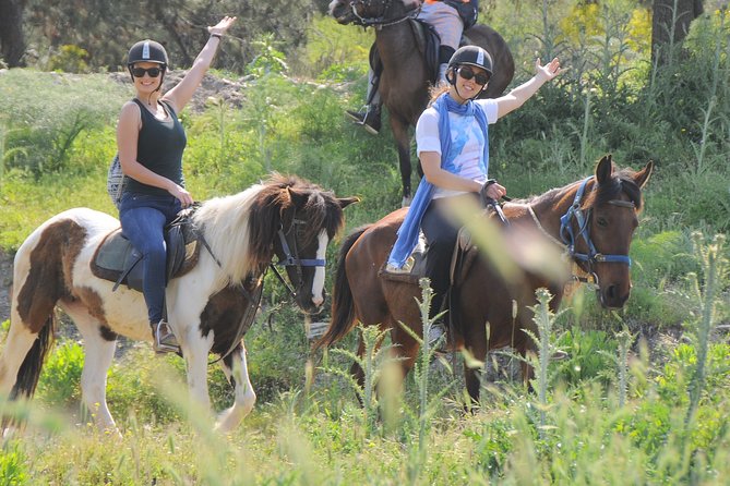 Kusadasi Horse Riding Beach and Forest options with Transfer - Forest and Beach Options: Picking the Right Amount of Time