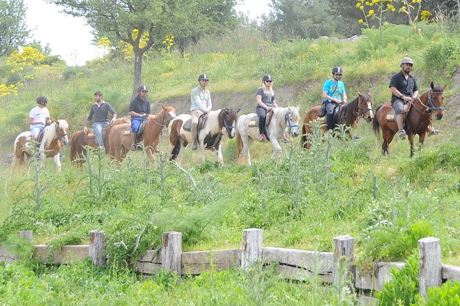 Kusadasi Horse Riding Beach and Forest options with Transfer - The 15-Minute Briefing and Helmet Setup