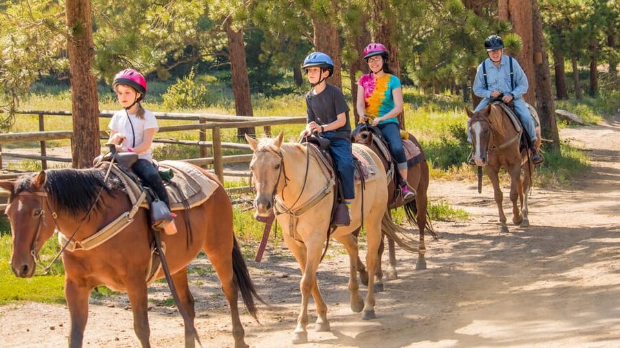 Kusadasi: Horse Riding Beach and Forest w/Transfer - Key Things to Know Before You Go