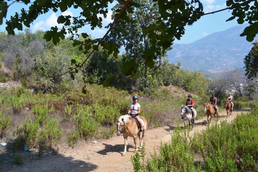 Kusadasi: Horse Riding Beach and Forest w/Transfer - The 1.5-Hour Ride: Pine Forests, Orange Groves, and Village Views