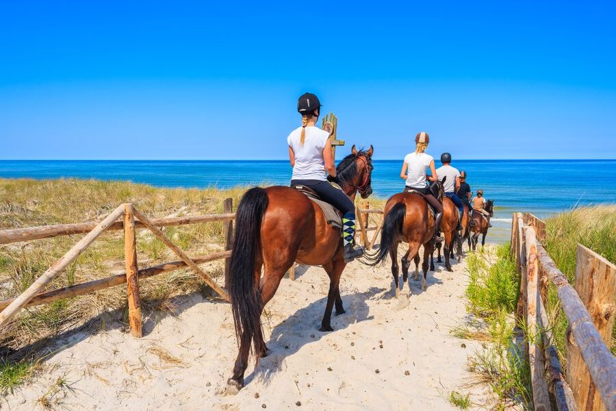 Kusadasi: Horse Riding Beach and Forest w/Transfer - Price and What You’re Actually Getting for $65