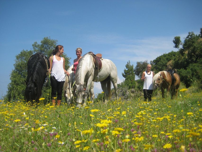 Kusadasi: Horse Riding Beach and Forest w/Transfer - Who This Tour Suits Best (And Who Might Prefer Something Different)