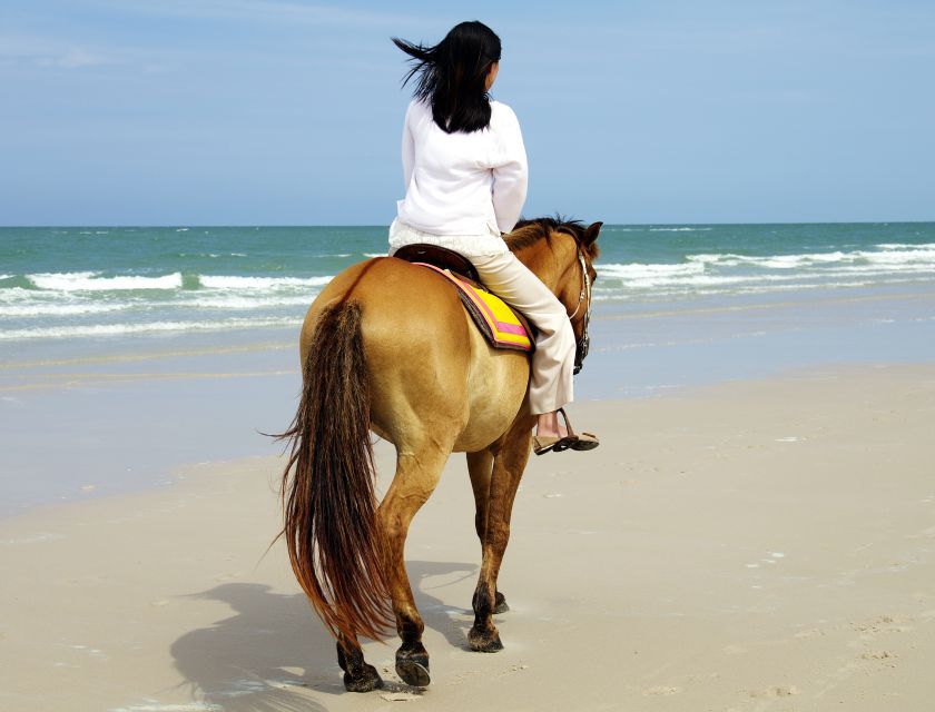 Kusadasi: Horse Riding Beach and Forest w/Transfer - Hotel Pickup and the Ranch Transfer That Actually Works