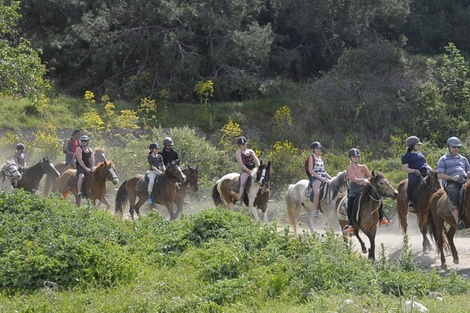 Kusadasi Horse Riding On Beach And Through The River - Entering Kusadasi horseback riding mode: what makes it special