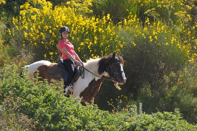 Kusadasi Horse Riding On Beach And Through The River - The riverbed trail ride: what you should expect (and what you should not)