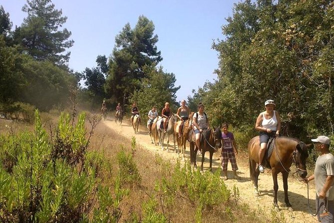 Kusadasi Horseback Riding - Horses, Safety, and What the Helmet-and-Insurance Setup Means