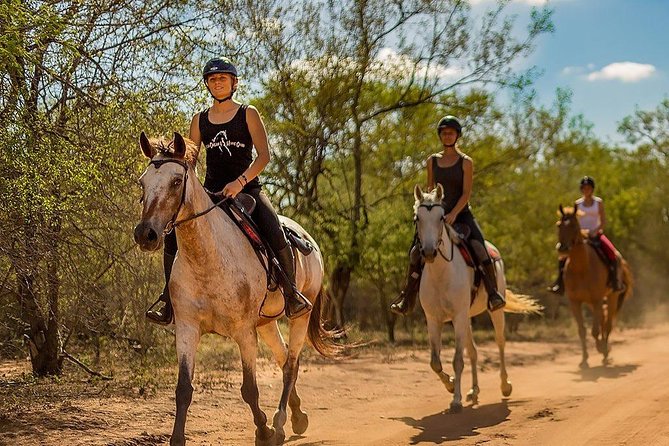Kusadasi Horseback Riding - Who Should Book This, and Who Might Skip It